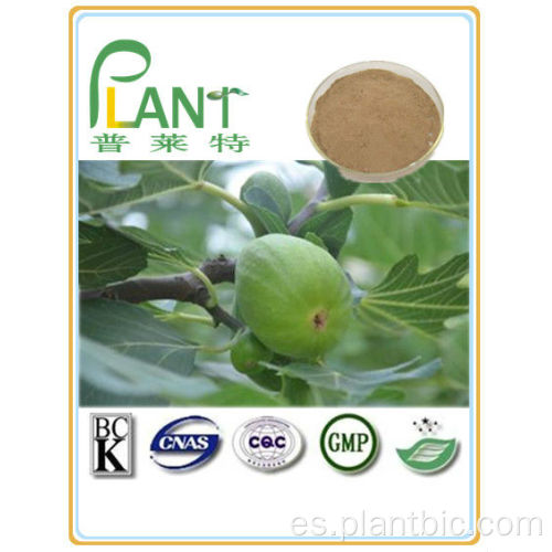 Suministro de fábrica de extractos de plantas naturales puras extracto de fig.